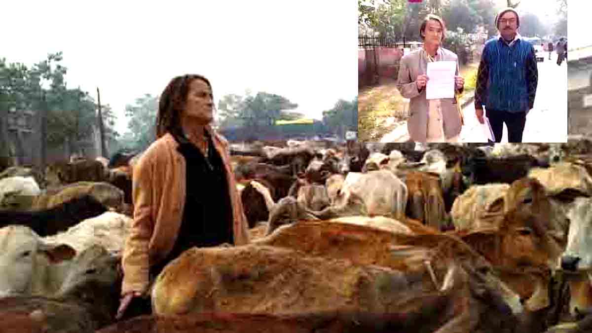 मृत गायों के लिए भूमि मांग रही गो सेवक जर्मन महिला