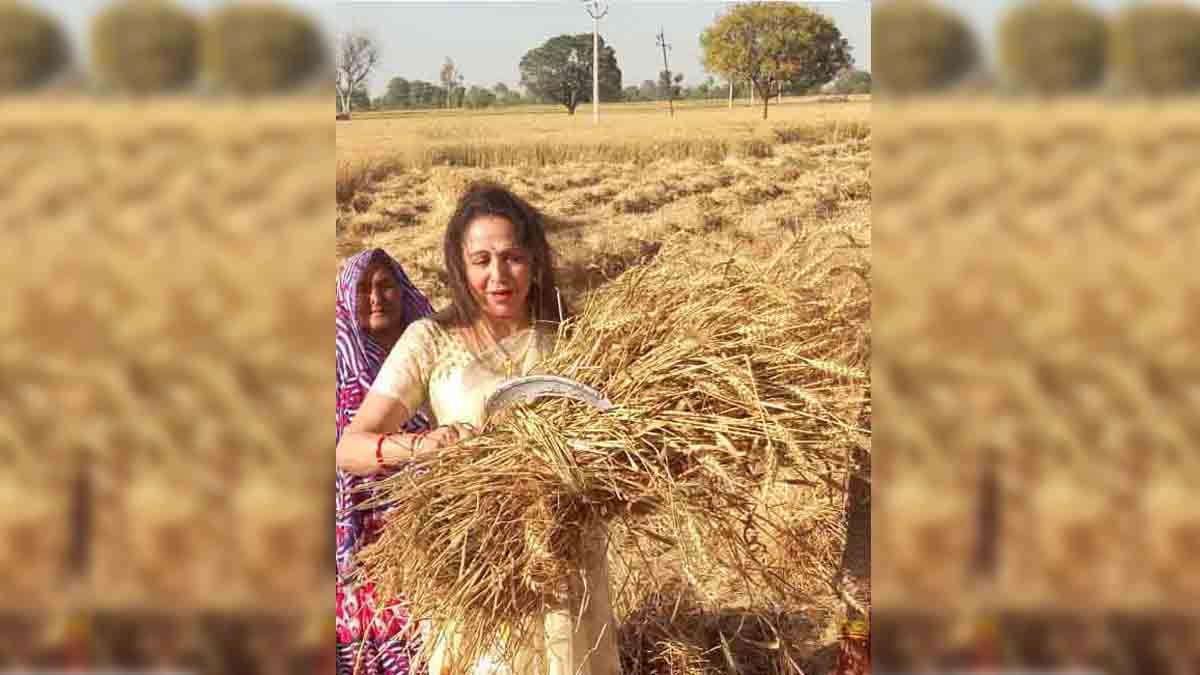 किसान खुद से नहीं, किसी के कहने पर ऐसा कर रहे हैं : हेमा मालिनी