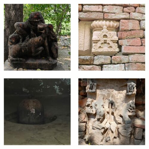 WhatsApp Image 2023-03-02 at 10.06.09 PM