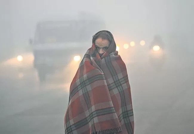 Cold Wave Alert: अगले दो हफ्ते तक शीतलहर बरपाएगी कहर, इन राज्यों में अलर्ट जारी