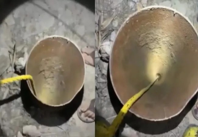 Delhi Borewell Accident : चोरी करने आया शख्स गिरा बोरवेल में, रेस्क्यू ऑपरेशन जारी