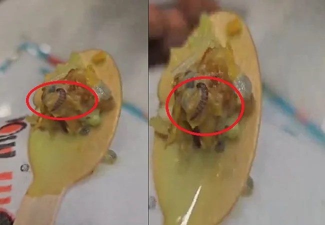 Viral Video: लखनऊ के लूलू मॉल के फालूदा नेशन की आईसक्रीम में कीड़ा, सोशल मीडिया में वायरल हो रहा है वीडियो