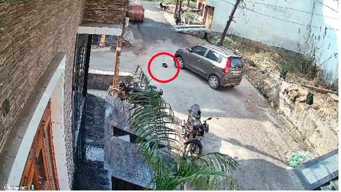 Video Viral : घर के बाहर सो रहे कुत्ते के पिल्ले को सेवानिवृत्त पुलिस कर्मी ने कार से चार बार रौंदा, क्रूरता सीसीटीवी में कैद, गिरफ्तार
