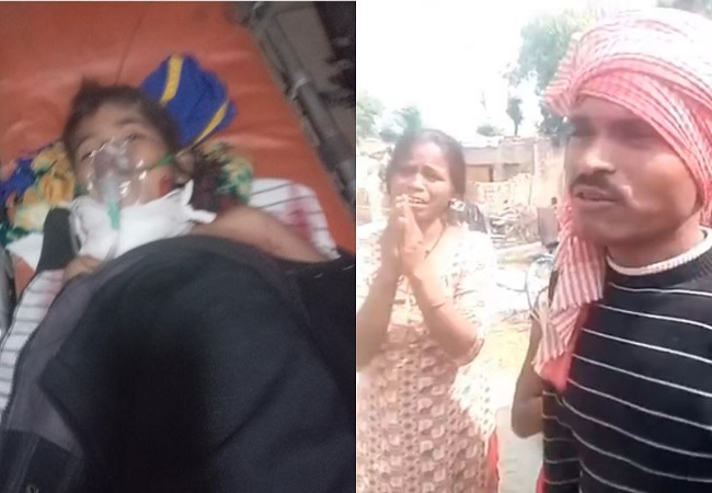 Dog Attack : घर के बाहर खेल रही 6 साल की मासूम पर आवारा कुत्तों का हमला, हॉस्पिटल में बच्ची की मौत